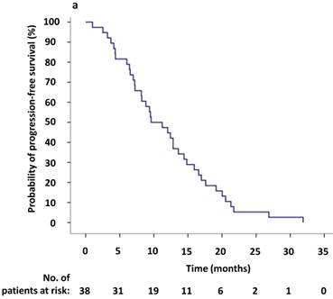 J Cancer Image