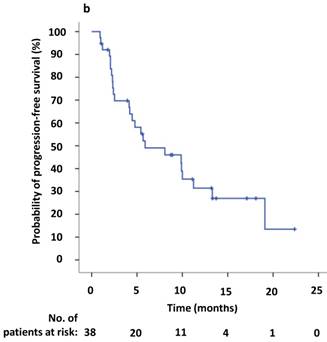 J Cancer Image