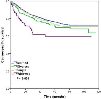 J Cancer Image