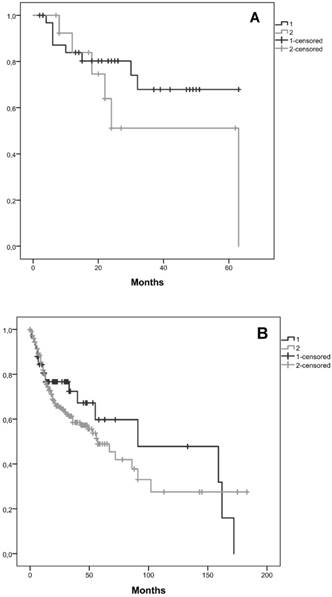 J Cancer Image