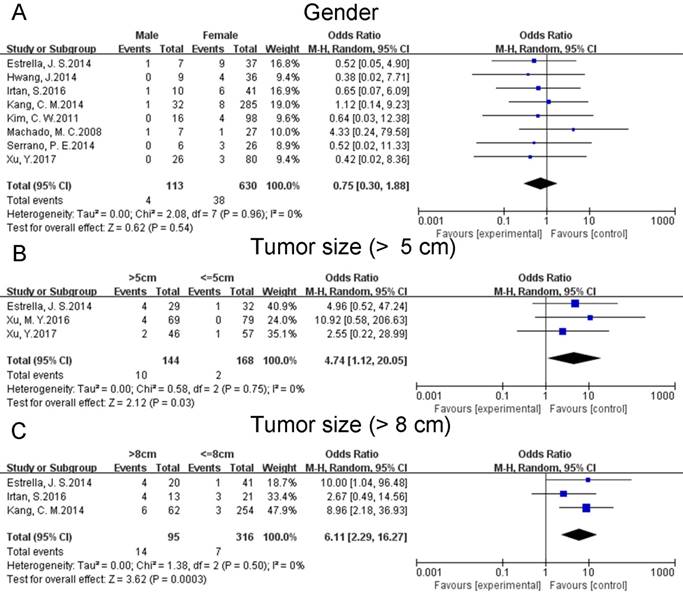 J Cancer Image