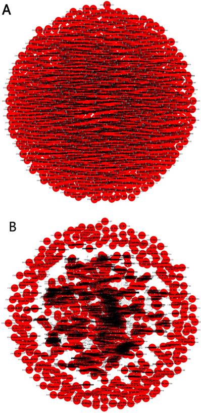 J Cancer Image