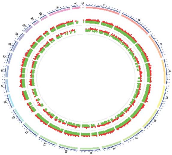 J Cancer Image