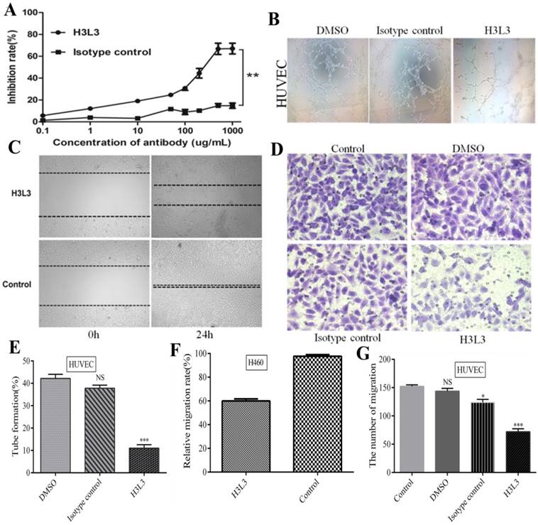 J Cancer Image