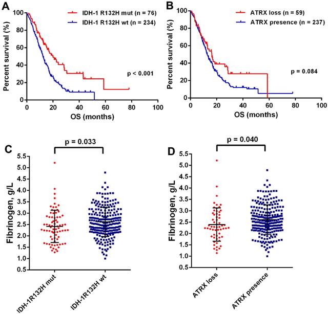 J Cancer Image