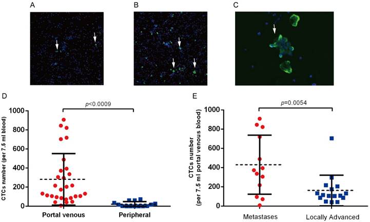 J Cancer Image