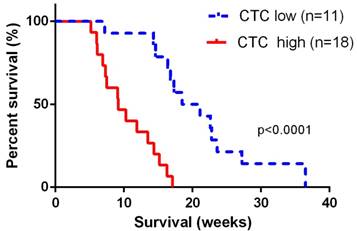 J Cancer Image