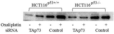 J Cancer Image