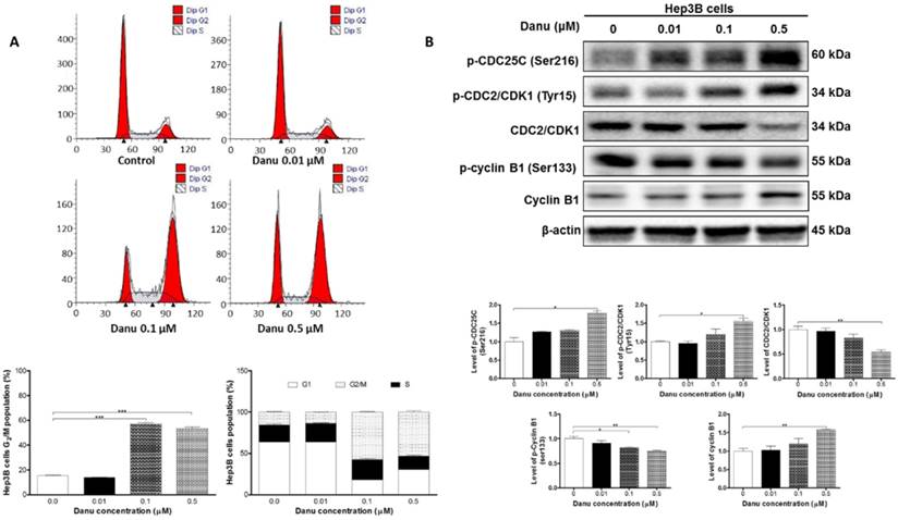 J Cancer Image