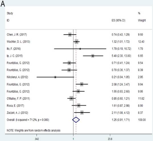 J Cancer Image