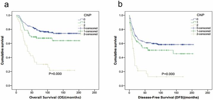 J Cancer Image