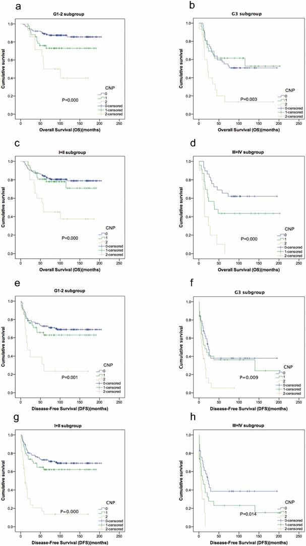 J Cancer Image