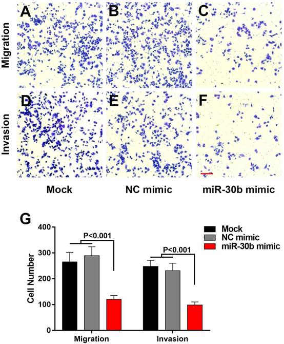 J Cancer Image