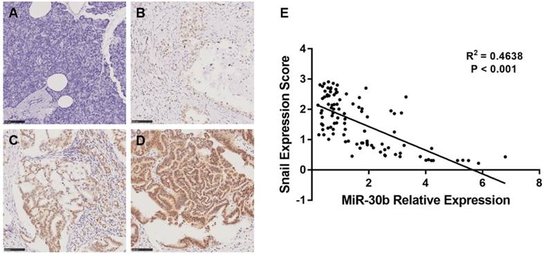 J Cancer Image