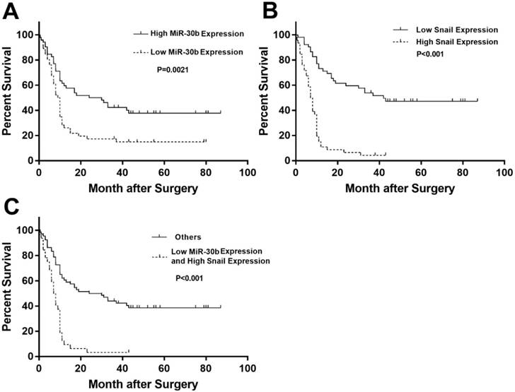 J Cancer Image