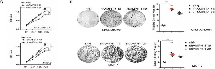 J Cancer Image