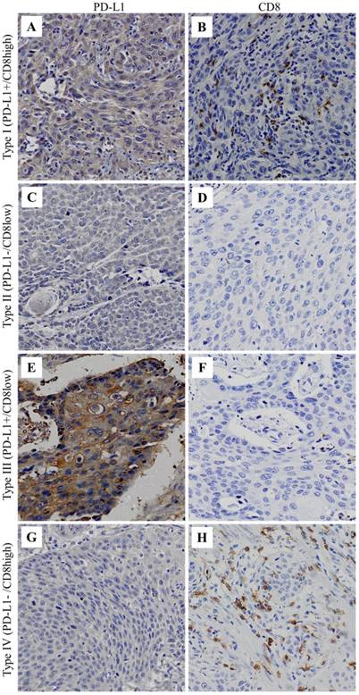 J Cancer Image