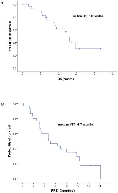 J Cancer Image