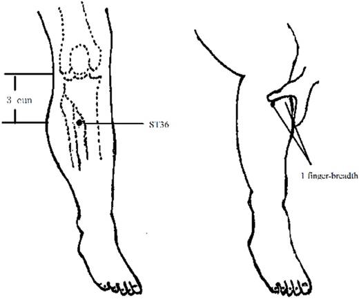 J Cancer Image