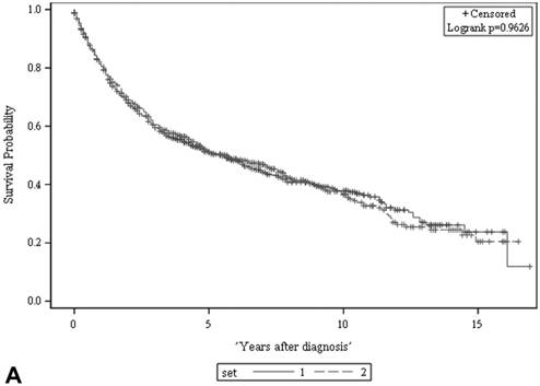 J Cancer Image