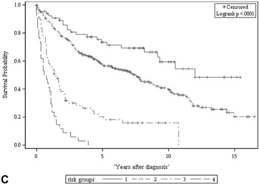 J Cancer Image