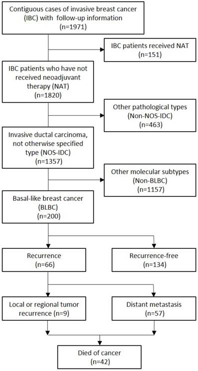 J Cancer Image