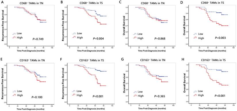 J Cancer Image