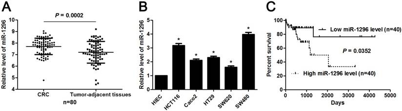 J Cancer Image