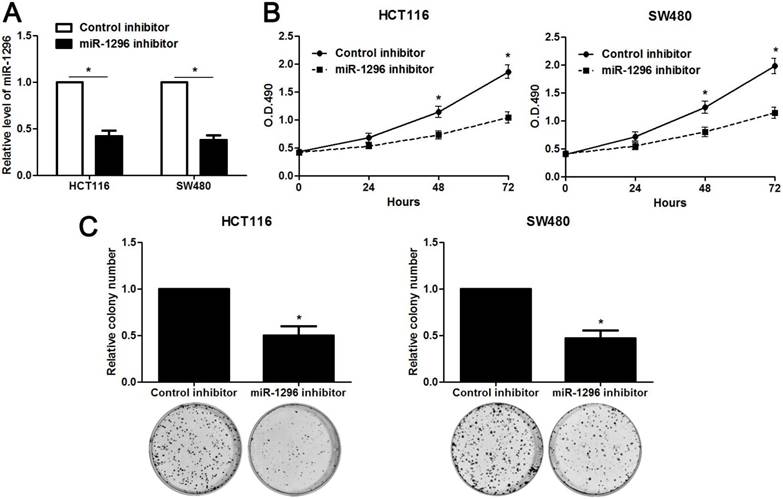 J Cancer Image