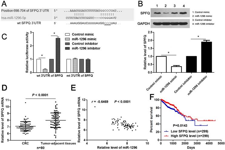 J Cancer Image