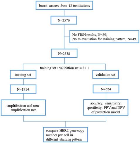 J Cancer Image