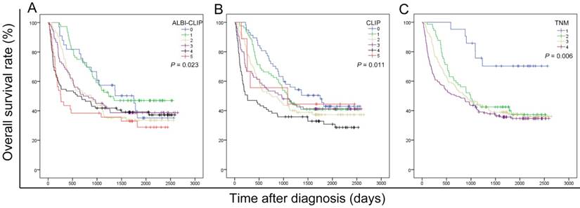 J Cancer Image