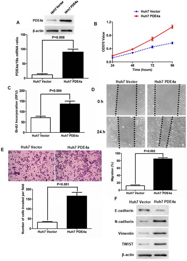 J Cancer Image