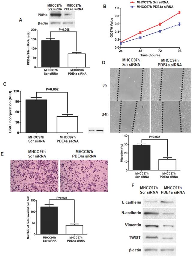 J Cancer Image