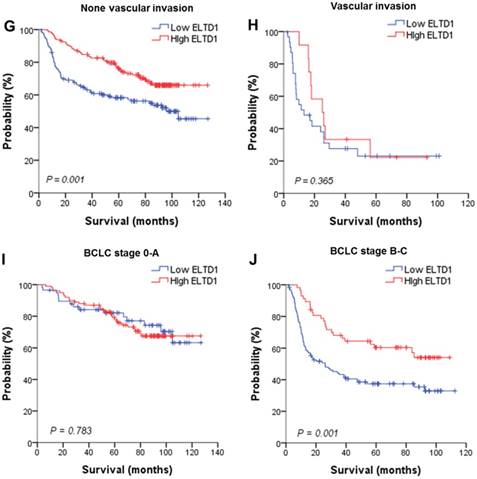 J Cancer Image