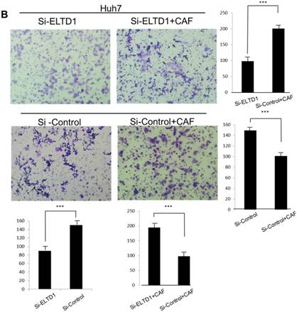 J Cancer Image