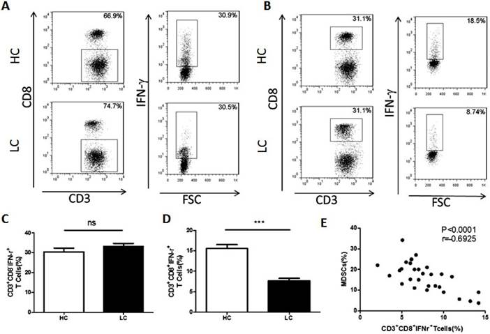 J Cancer Image