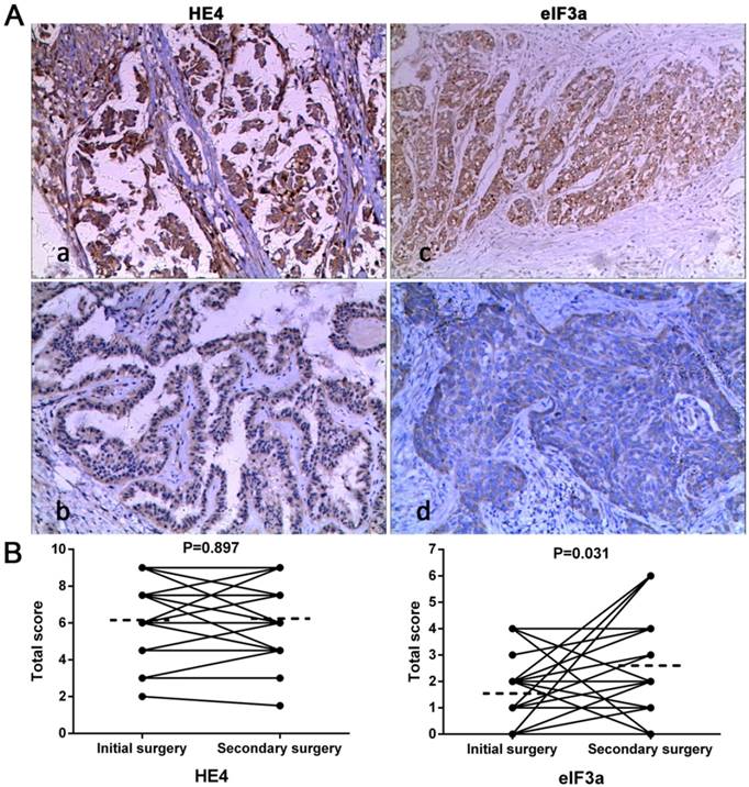 J Cancer Image