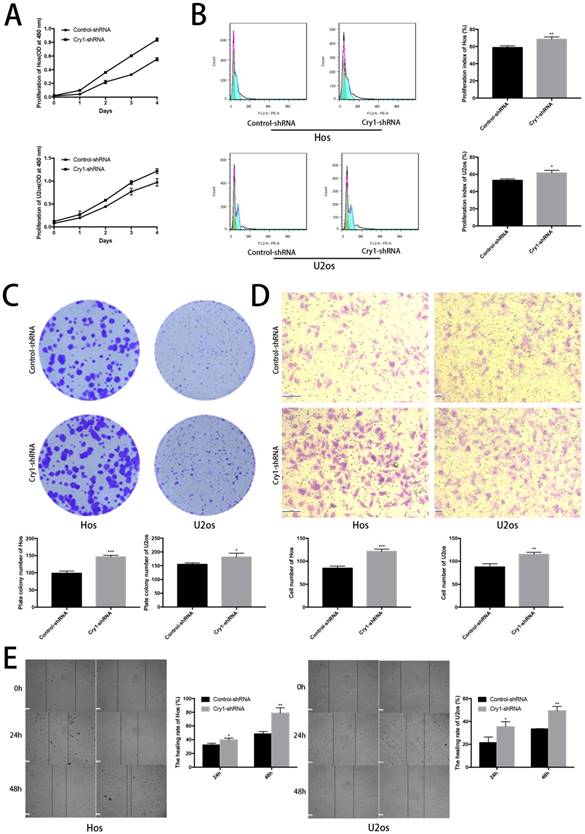 J Cancer Image