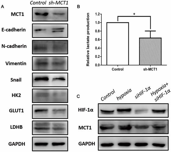 J Cancer Image