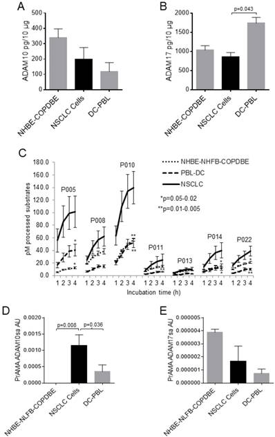 J Cancer Image