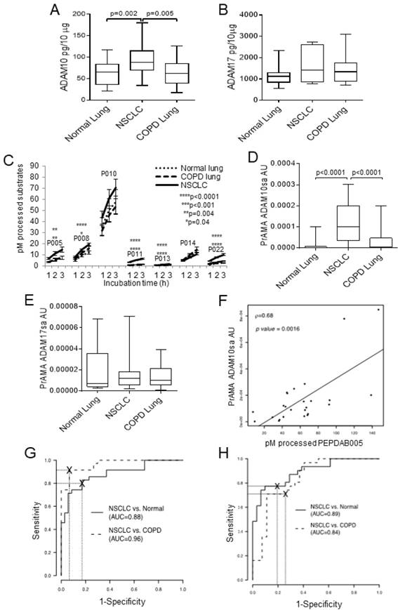 J Cancer Image