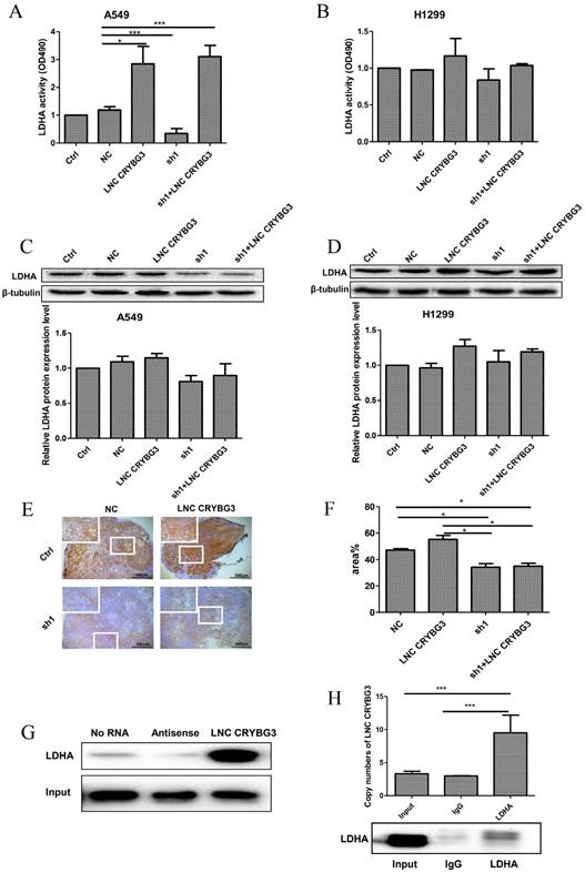 J Cancer Image