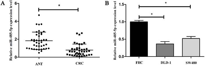 J Cancer Image