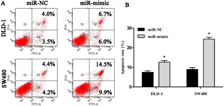 J Cancer Image