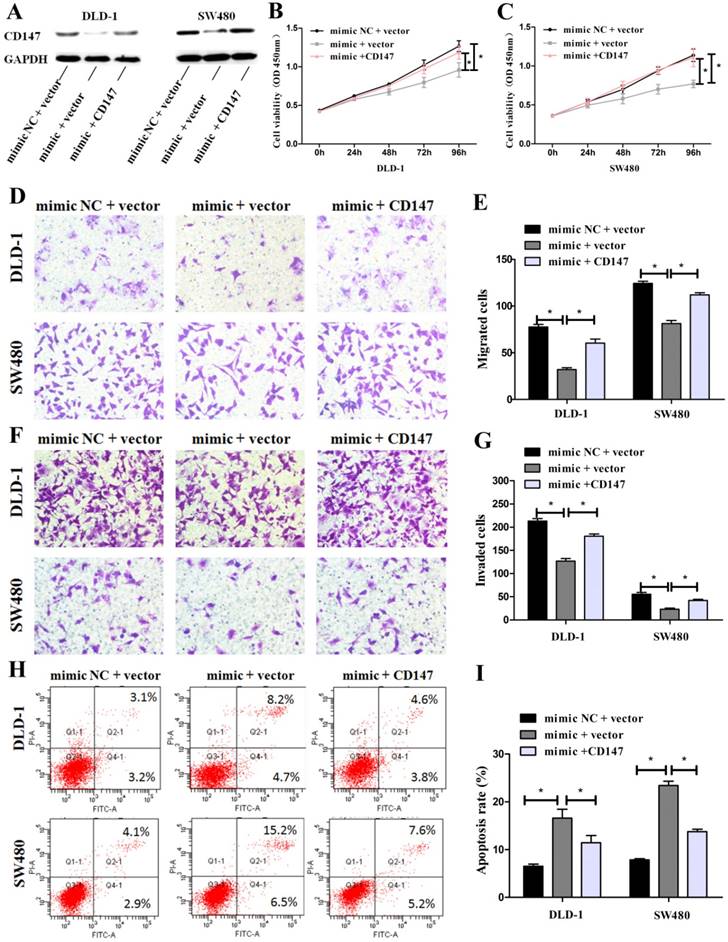 J Cancer Image