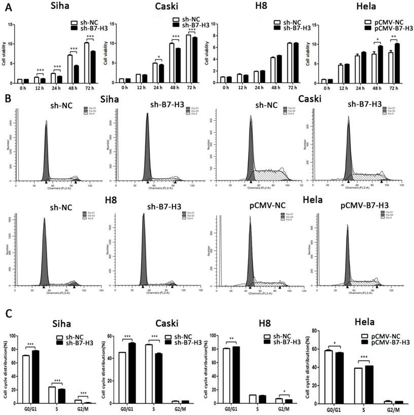 J Cancer Image