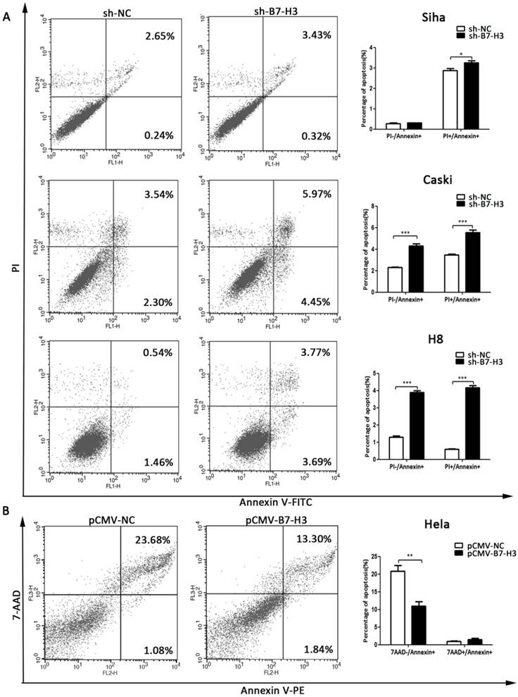 J Cancer Image