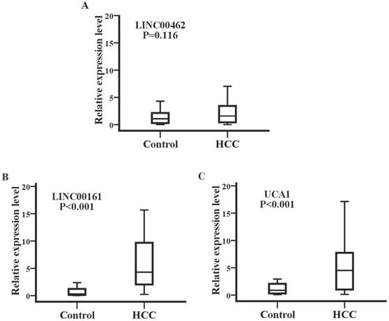 J Cancer Image