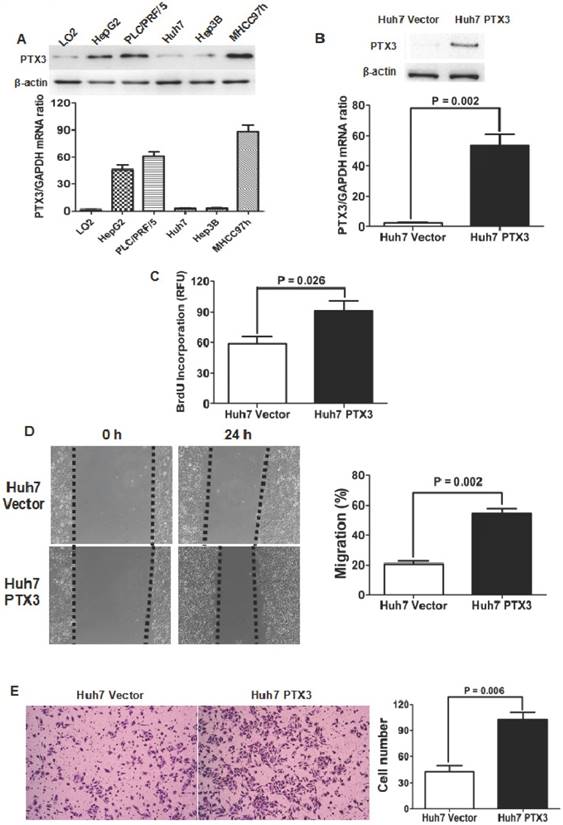 J Cancer Image